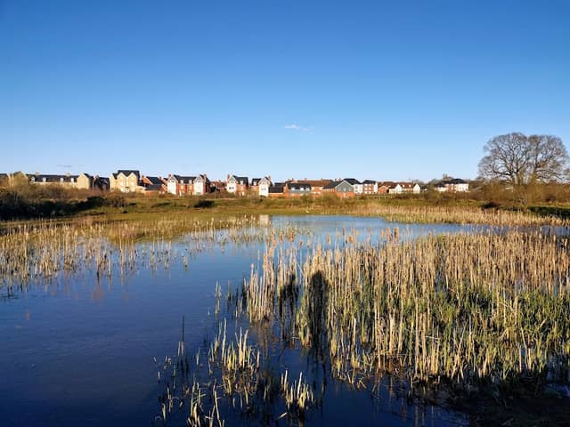 Abbotswood Nature Reserve - Image 1