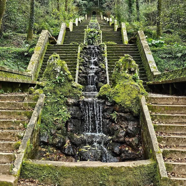 Buçaco National Forest - Image 3