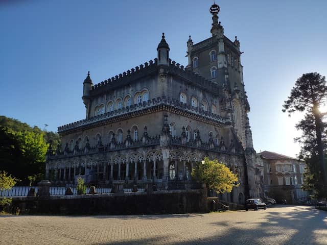 Buçaco National Forest - Image 1