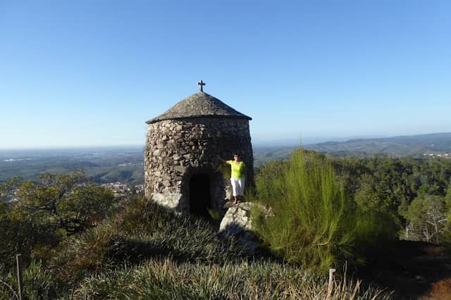 Buçaco National Forest - Image 2