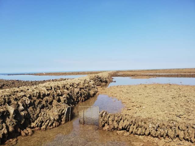 Los Corrales de Rota - Image 1