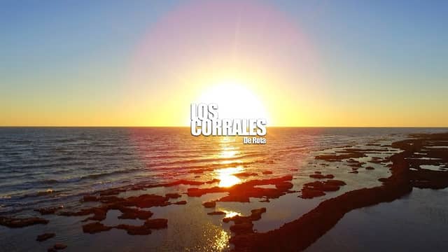 Los Corrales de Rota - Image 2