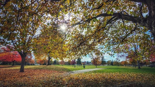 Bluegrass Park - Image 3