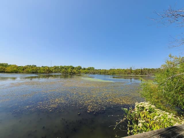 LLELA Nature Preserve - Image 1