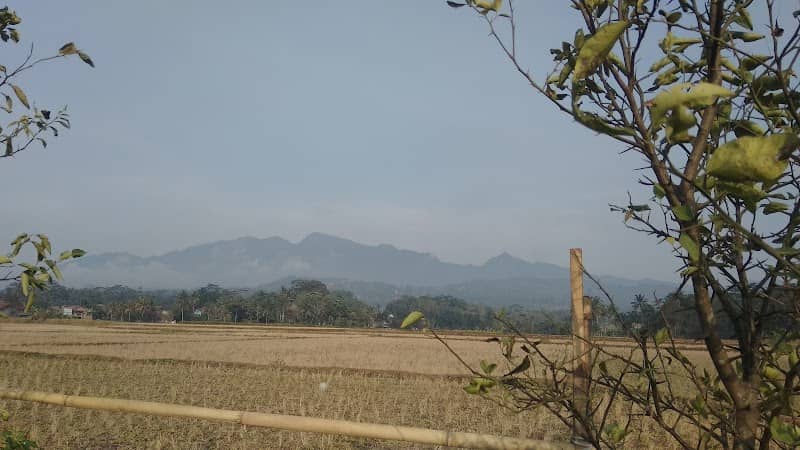 Galunggung view - Image 2