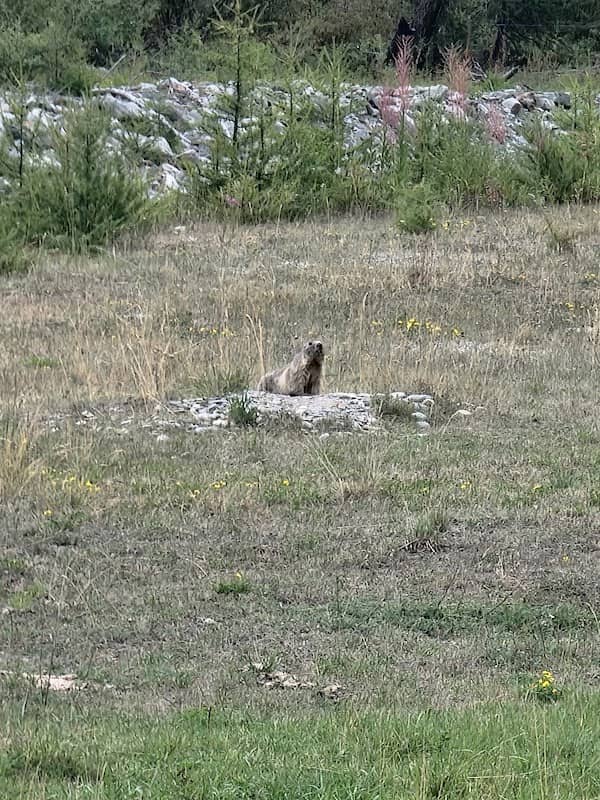 Prato delle Marmotte - Image 1