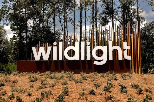 Wildlight - Image 2