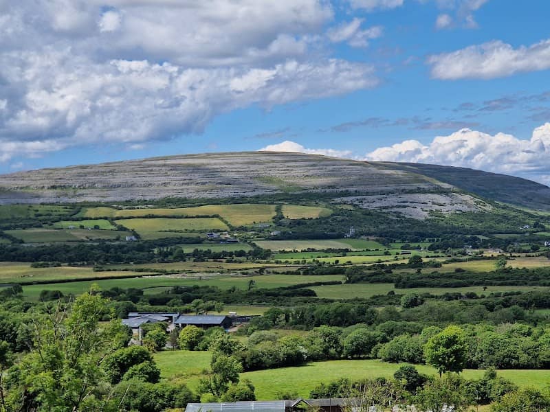 Aillwee Burren Experience - Image 3