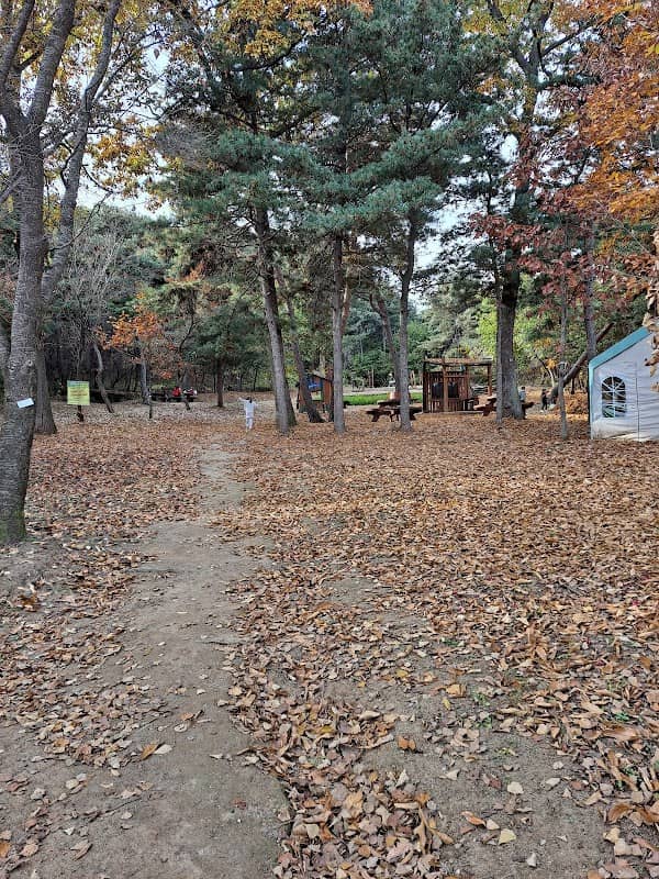 양주어린이숲체험원 - Image 1