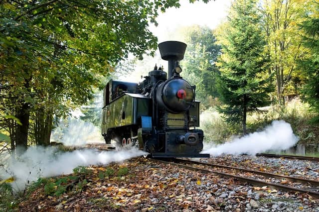 Orava Logging Railway - Image 1