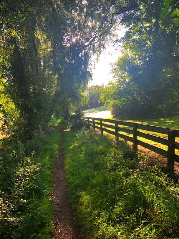 Comber Meadow - Image 1