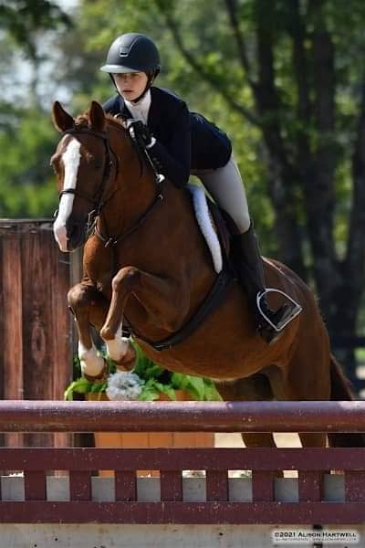 Fox Pointe Farm LLC - Image 1