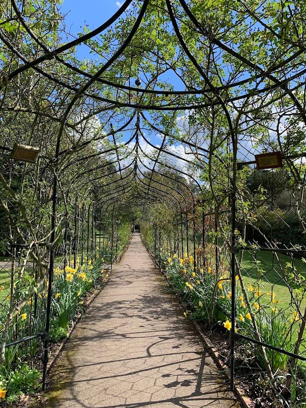 Nonsuch Park - Image 2