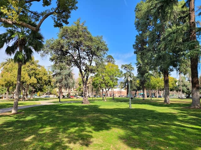Central Park - Image 1