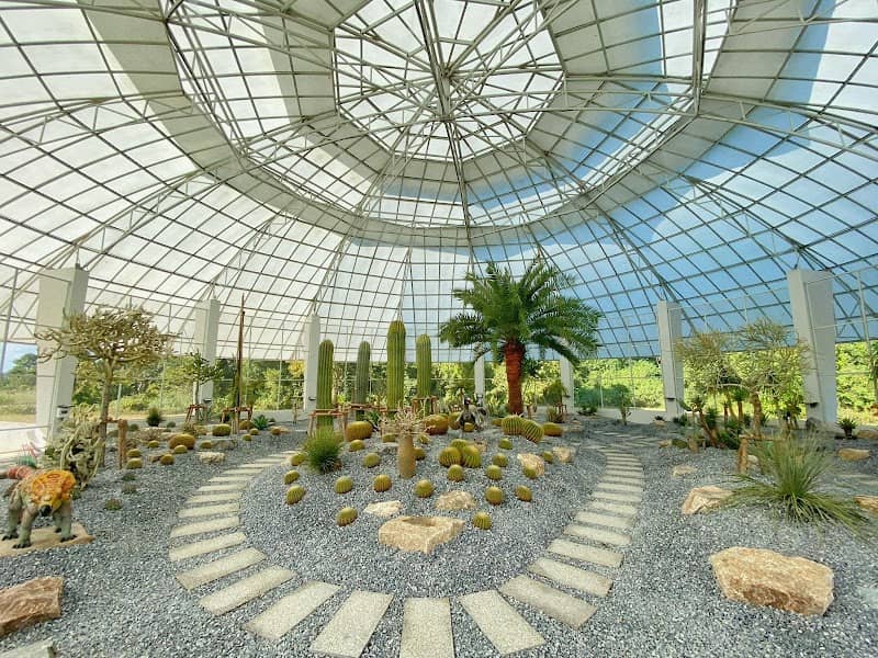 โดมกระบองเพชร Bota Cactus Dome - Image 2