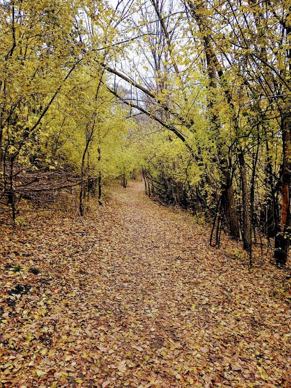 Kiwanis Woodlot Park - Image 1