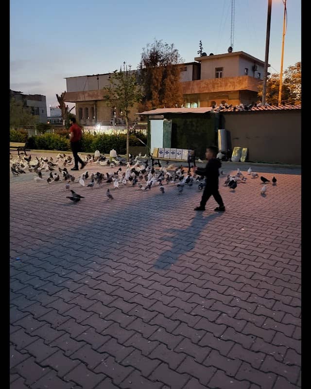 Newroz Park - Image 2