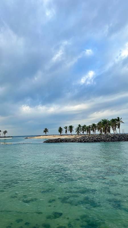 Random Island - Image 2