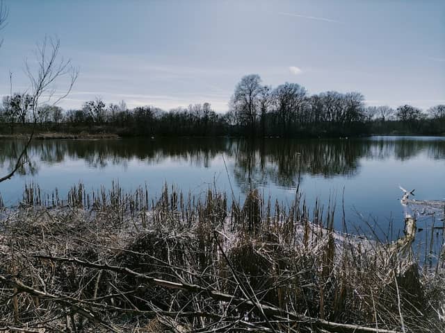 Písečný rybník - Image 2