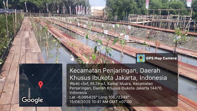 Kawasan Mangrove Nasional Kamal Muara - Image 1