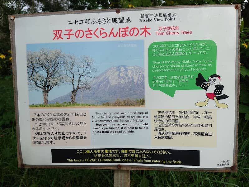 双子のさくらんぼの木 - Image 2