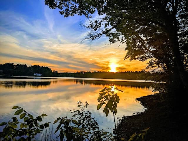 Willand Pond - Image 1