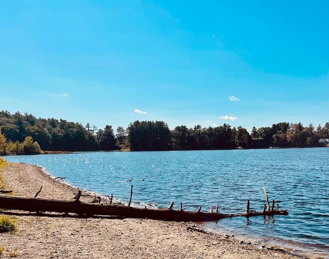 Willand Pond - Image 2