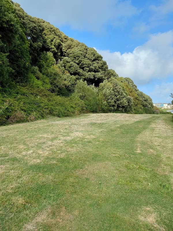 Dinosaur Labyrinth - Image 1
