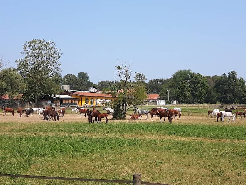 Parco delle Groane - Image 1