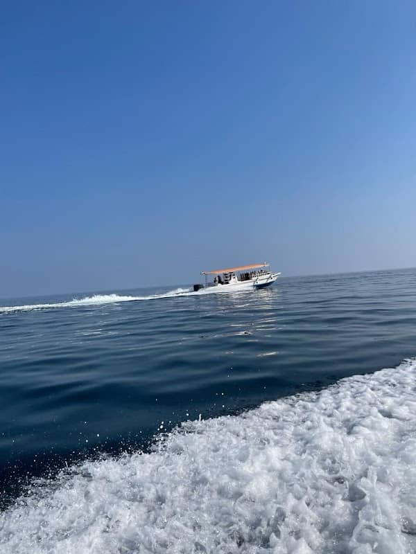 Dibba dhow cruise - Image 2