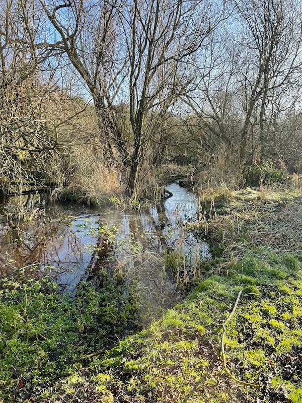 Marsh Common - Image 1