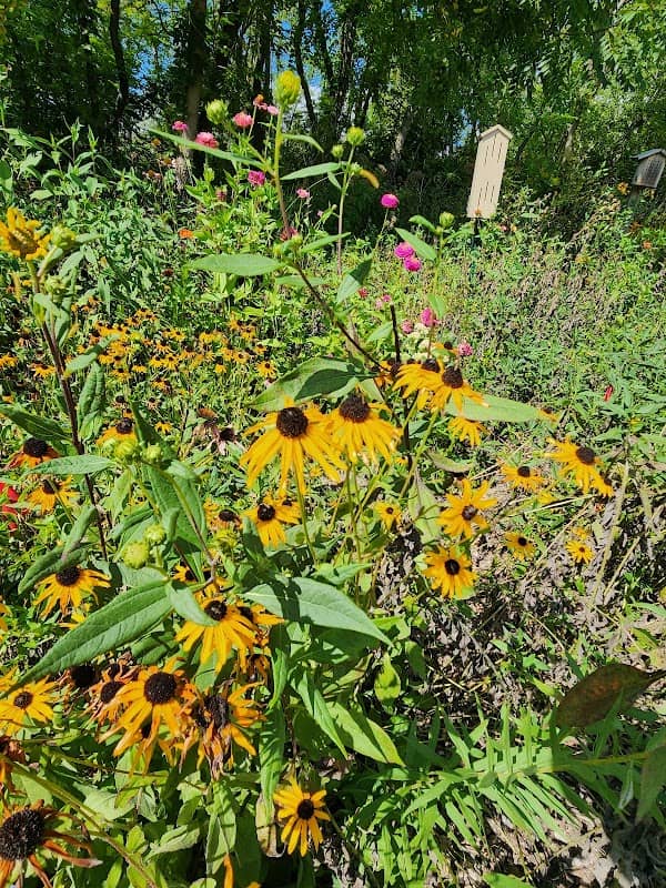 DeWitt Westbrook Park Butterfly Garden - Image 2
