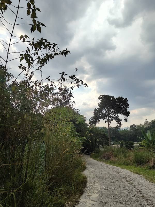 Jeram Anjang Campsite Waterfall - Image 2