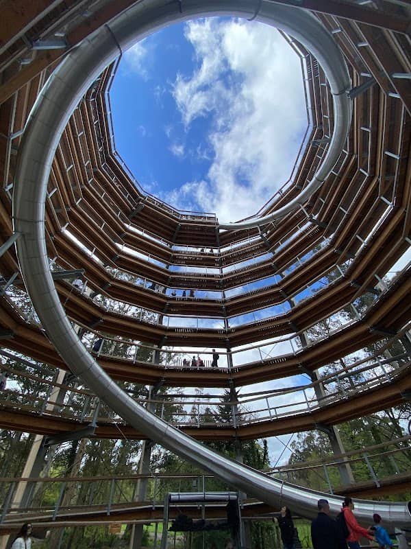 Treetop Walk & Viewing Tower entrance - Image 2