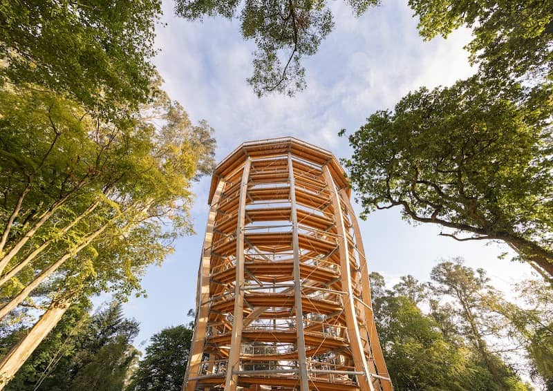 Treetop Walk & Viewing Tower entrance - Image 3