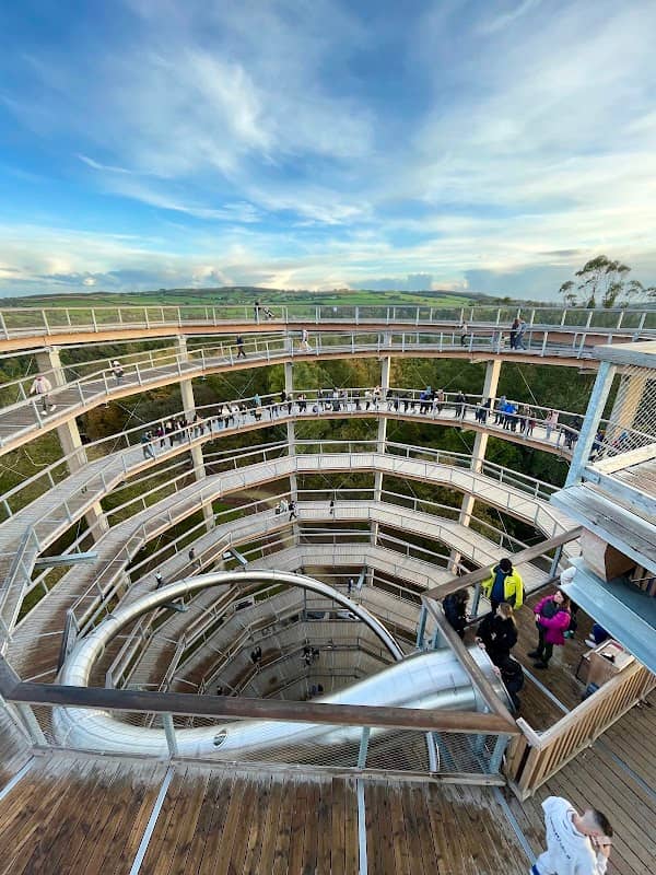 Treetop Walk & Viewing Tower entrance - Image 1