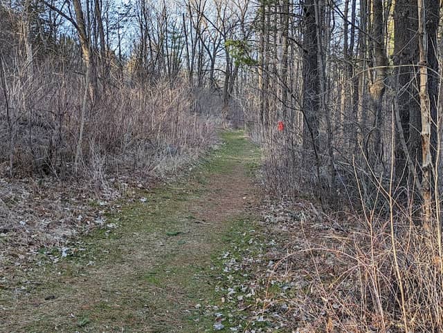 Rudorf Trails - Image 1