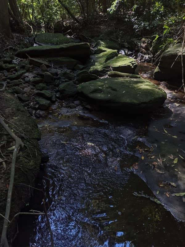 Pee Wee Park - Image 1