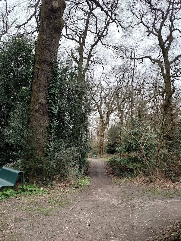 Joel Park - Image 1