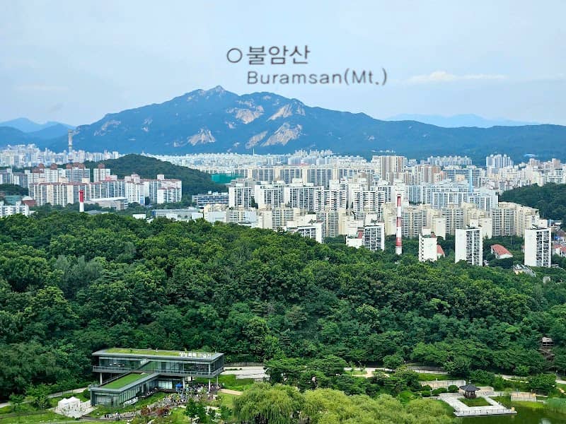 Dream Forest - Image 1