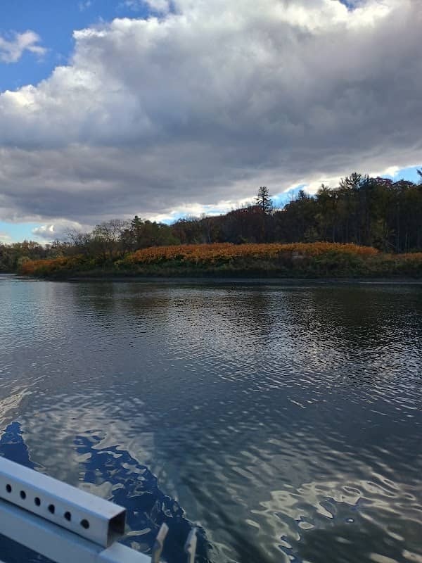 Little Island - Image 2