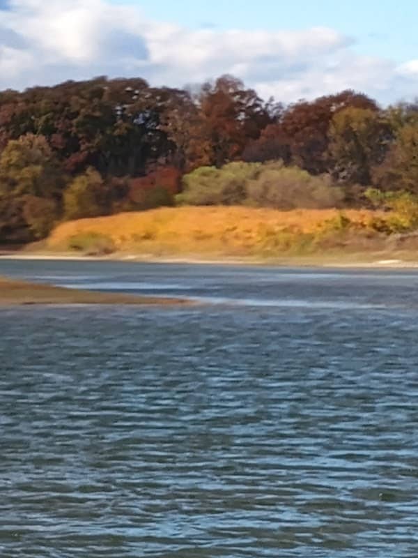 Little Island - Image 1