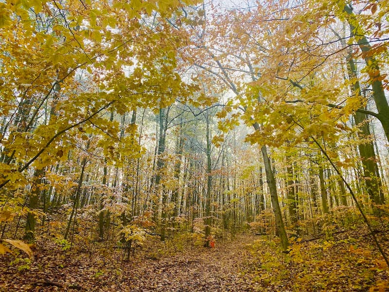 Ardagh Bluffs Natural Area - Image 1