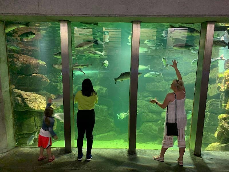 Galway Atlantaquaria - Image 1