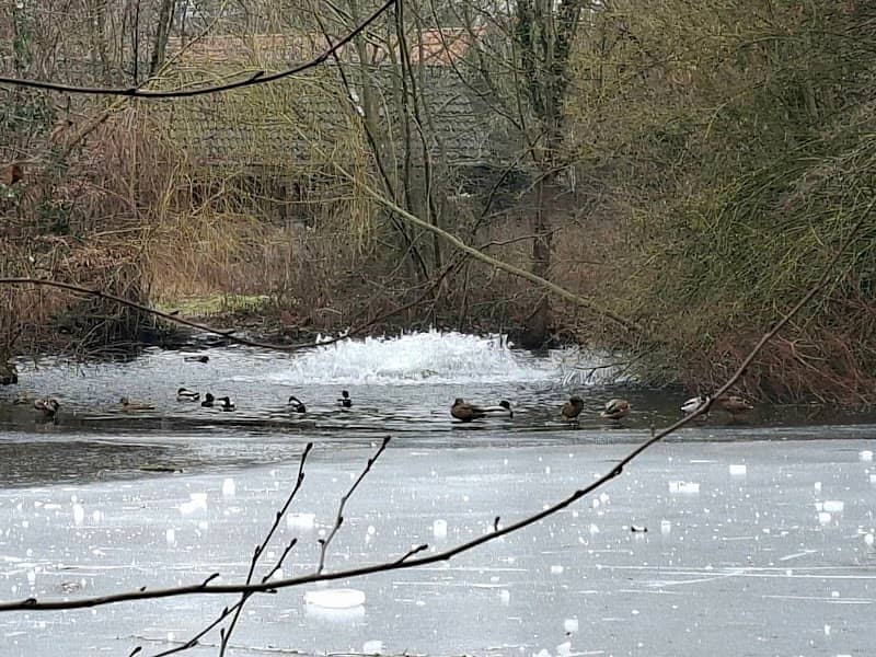 Unterer Mühlenteich - Image 1