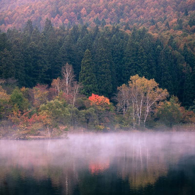 大池上池 - Image 1
