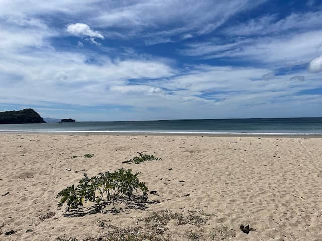 Playa La Flor - Image 1