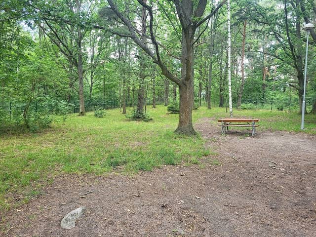 Charlies Hage Hundrastgård - Image 1