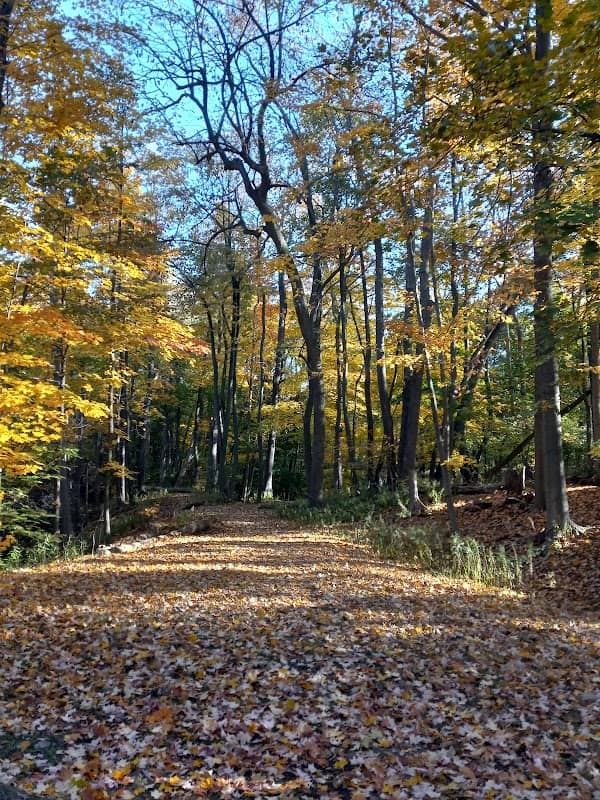 Durling Park - Image 1