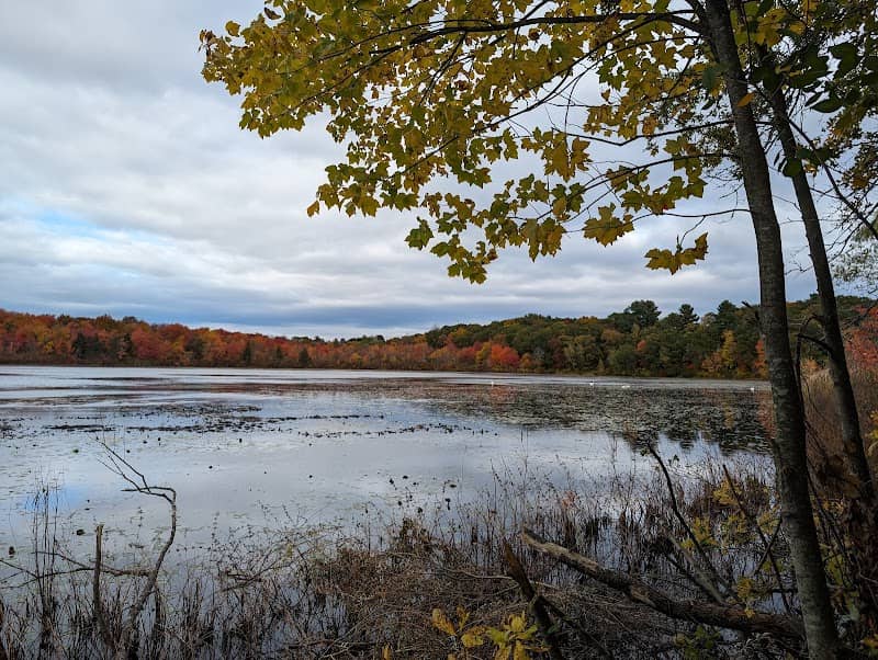 Hammond Pond Reservation - Image 1